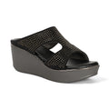 Starveil - Wedges