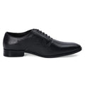 Vernon - Derby Shoes